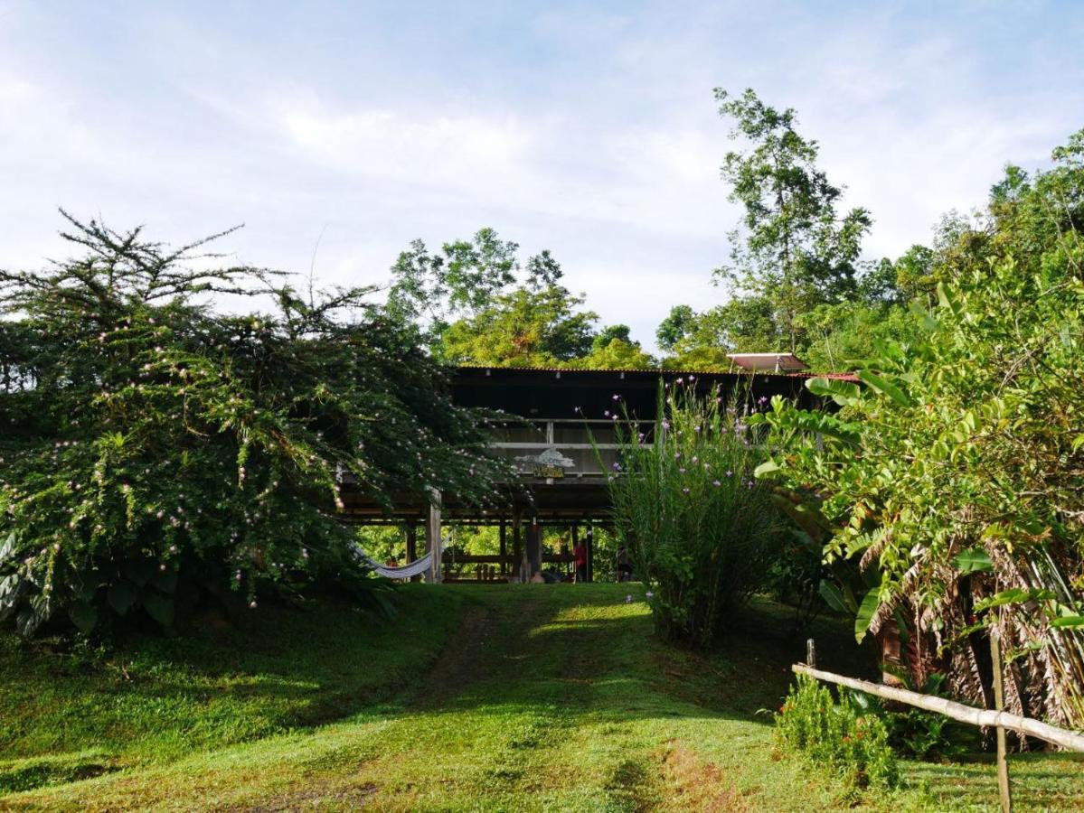 Albergue La Laguna Puerto Jiménez Exterior foto